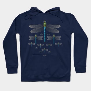 Dragonflies in formation! Hoodie